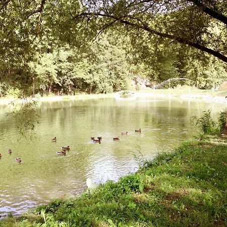 Apartman Ve Mlyne Trebotov Esterno foto